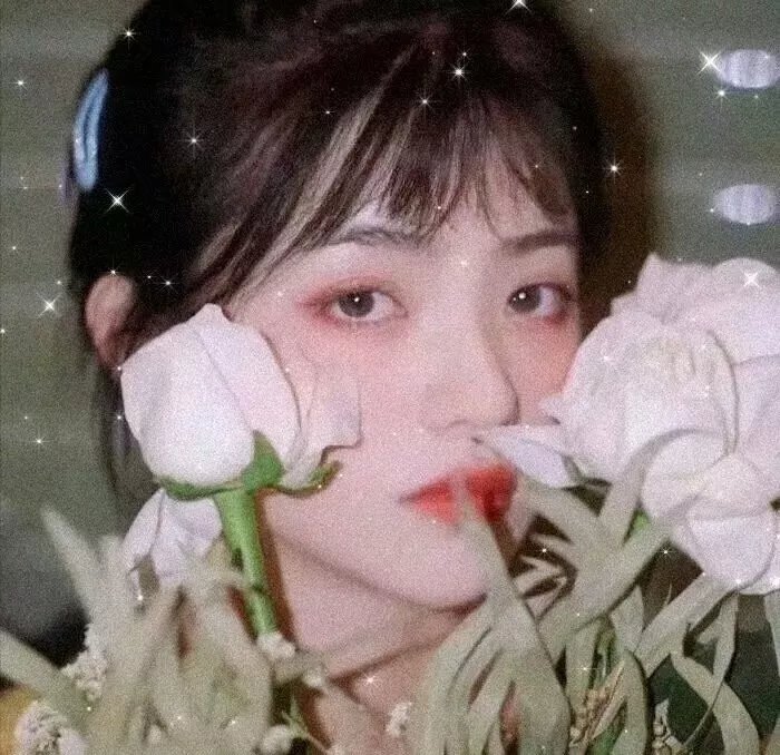 燃烧的季节