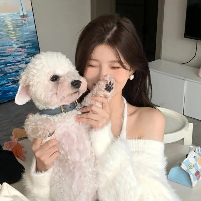 雾中之犬